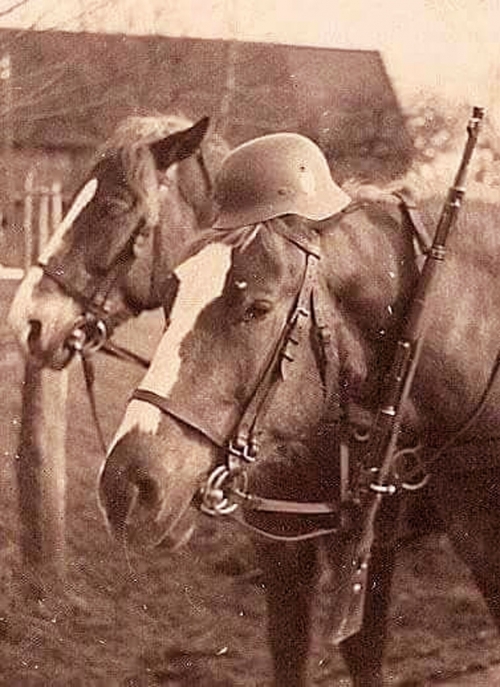American Horses in the First World War  <br />(American Legion Monthly, 1936)