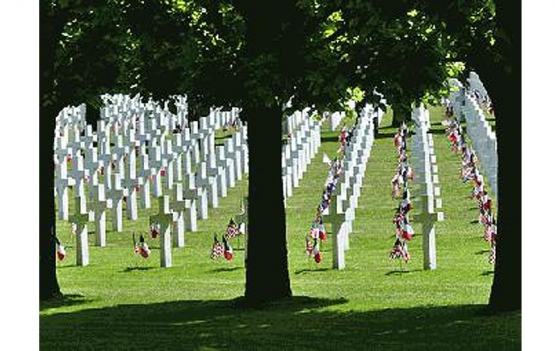 U.S. Cemeteries: A Flag for Every Grave <br />(American Legion Weekly, 1920)