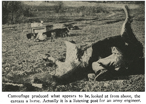 The Dummy Horse Observation Post <br />(Popular Mechanics, 1918)