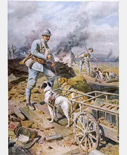 ''Dogs of Battle, Dogs of Mercy'' <BR> <br />(Vanity Fair, 1916)