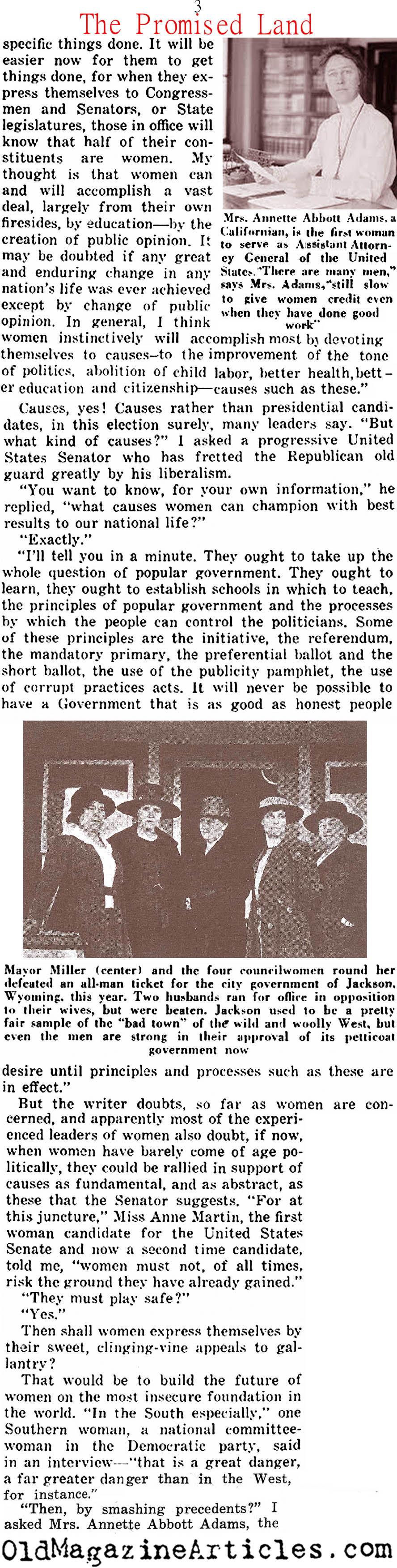 The Vote Obtained (The Independent, 1920)