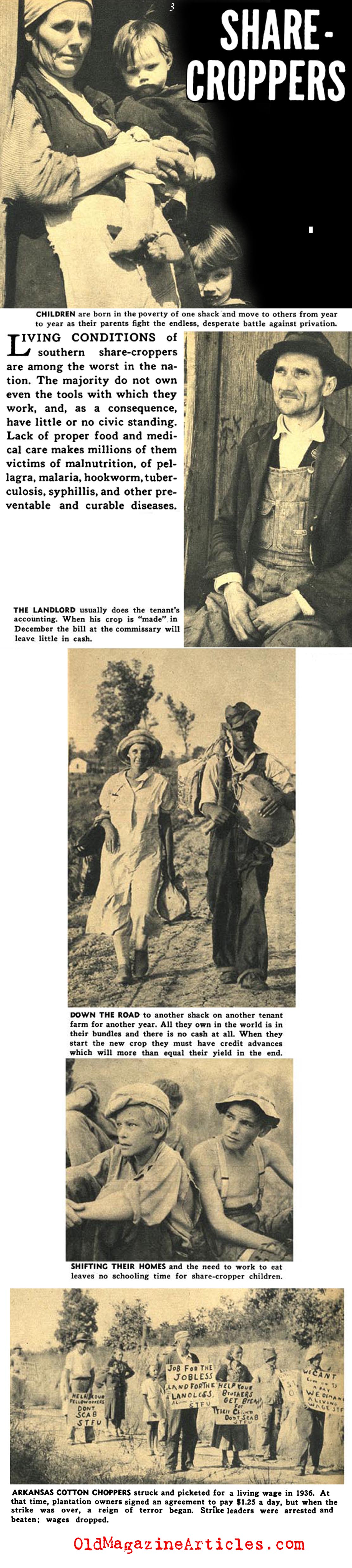 Labor Abuses in the South (Focus Magazine, 1938)