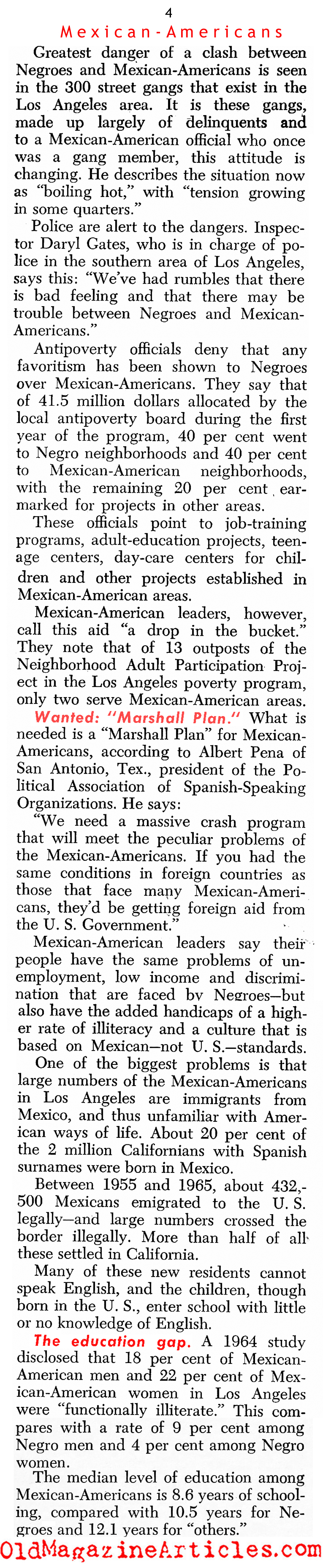 The Chicano Struggle (United States News, 1966)