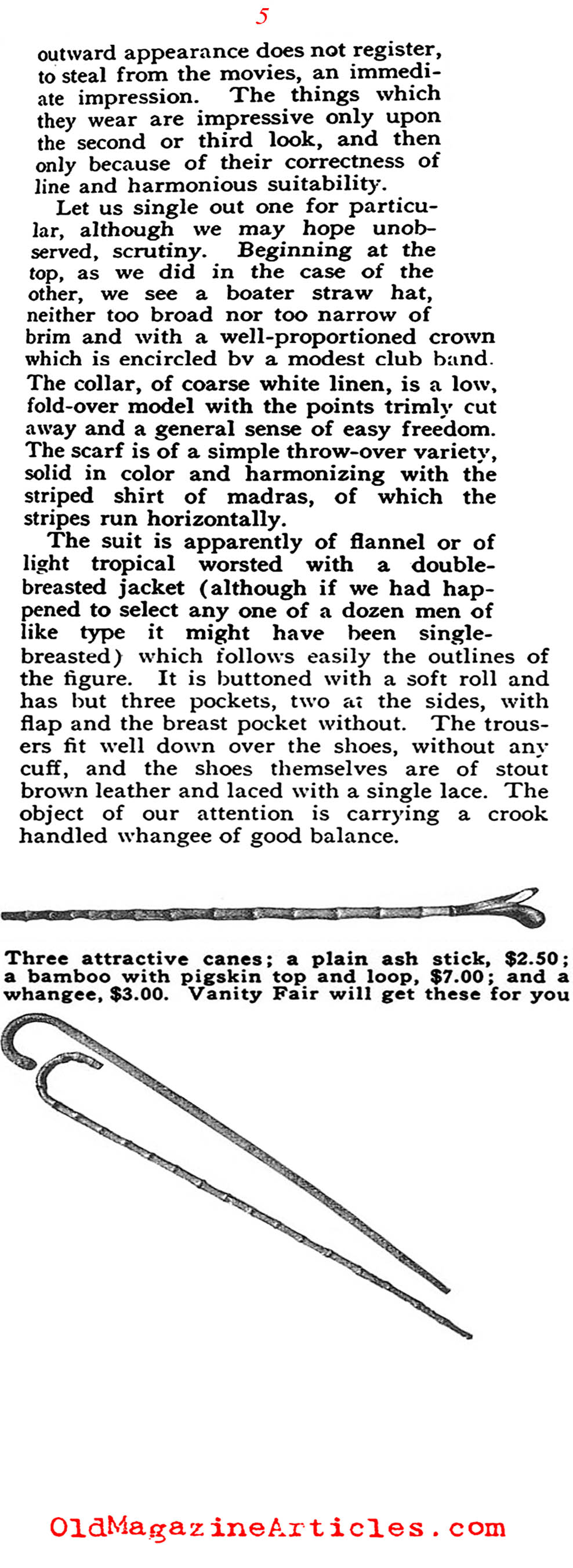 The Well Dressed Man Confronts Bad Taste  (Vanity Fair Magazine, 1918)