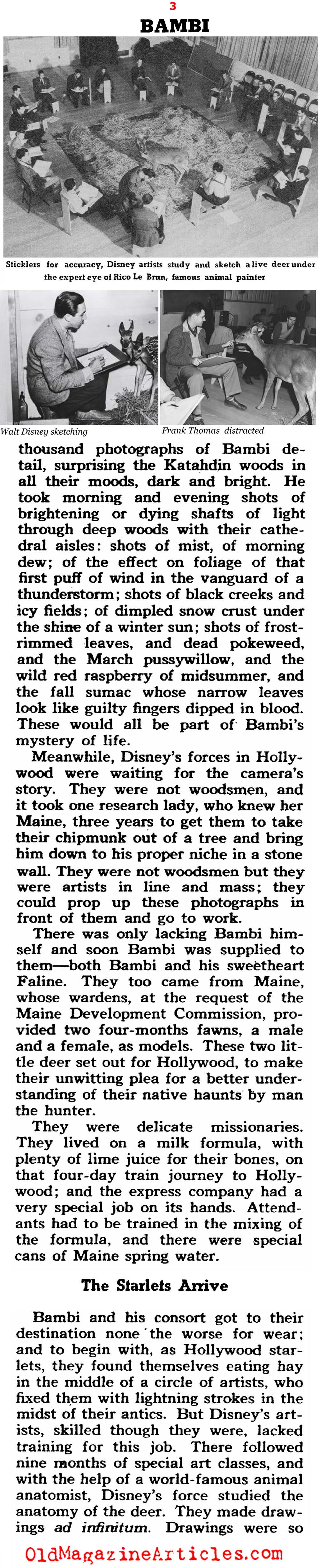 Walt Disney's Artists and the Making of 'Bambi' (Collier's Magazine, 1942)