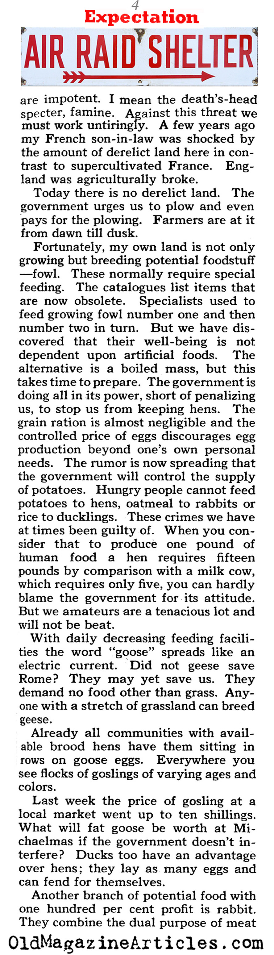 Life Under Siege (Collier's Magazine, 1941)