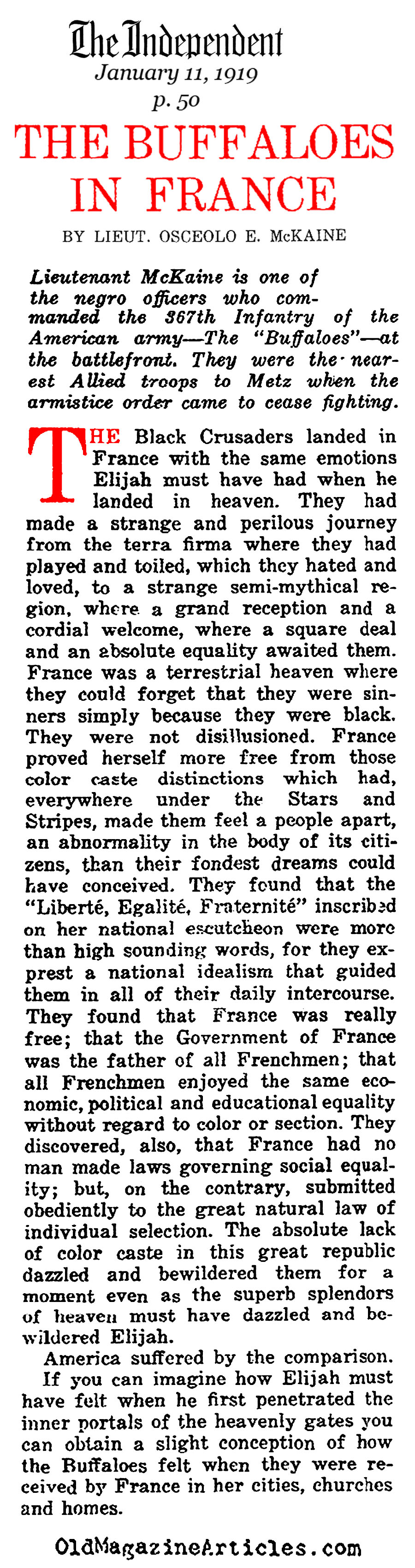 Segregated Infantry Divisions in France  (The Independent, 1919)