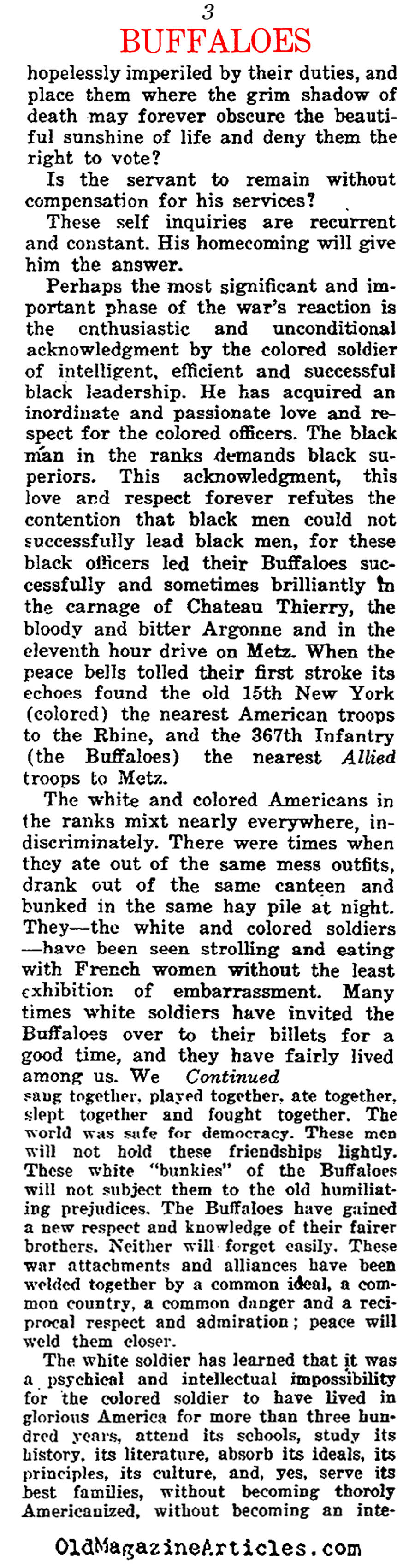 Segregated Infantry Divisions in France  (The Independent, 1919)