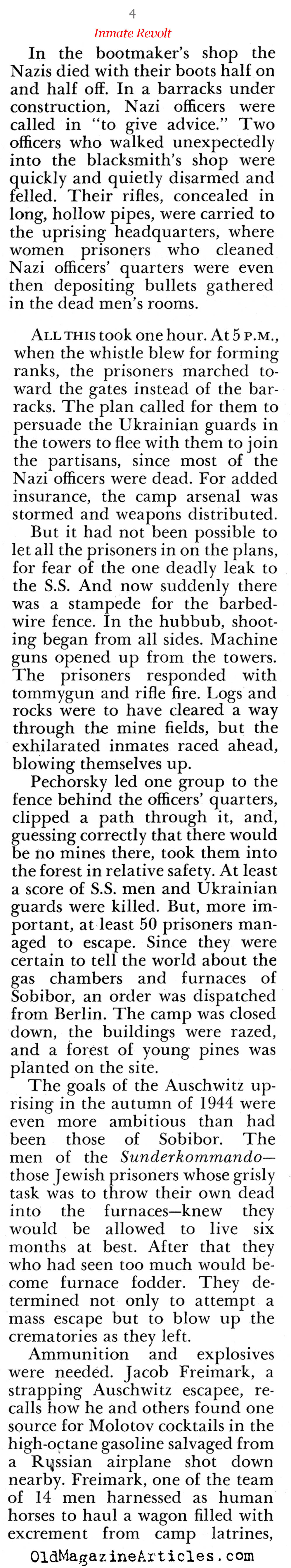 The Concentration Camp Revolts (Pageant Magazine, 1966)