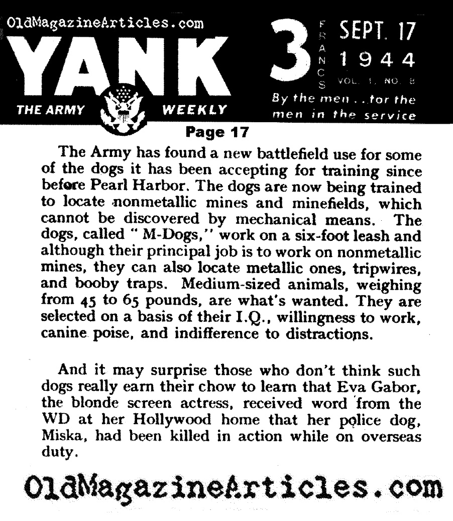 Mine-Detecting Dogs (Yank Magazine, 1944)