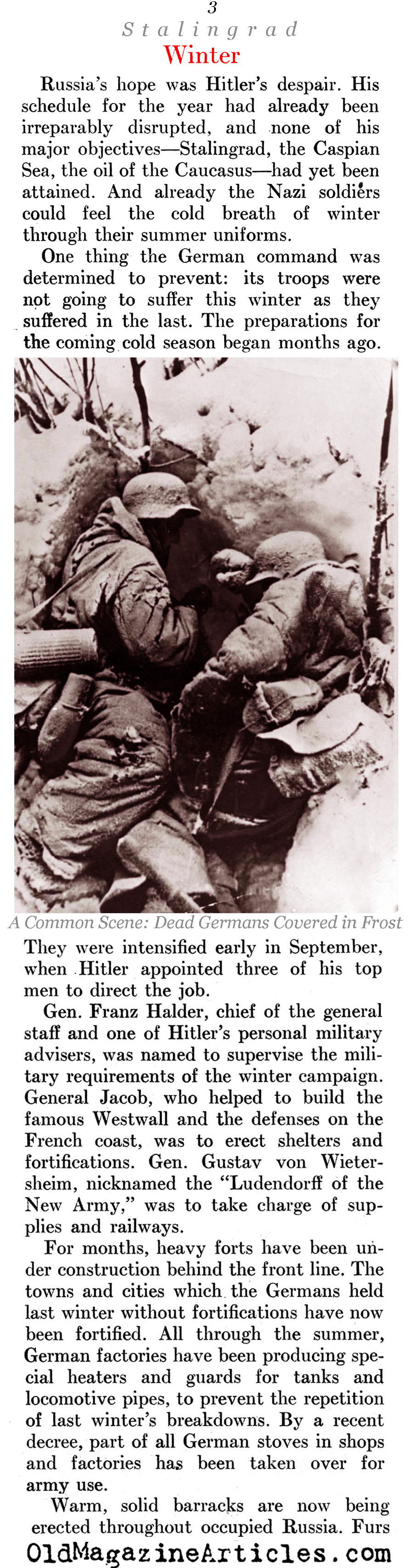 The Battle of Stalingrad (Newsweek Magazine, 1942)