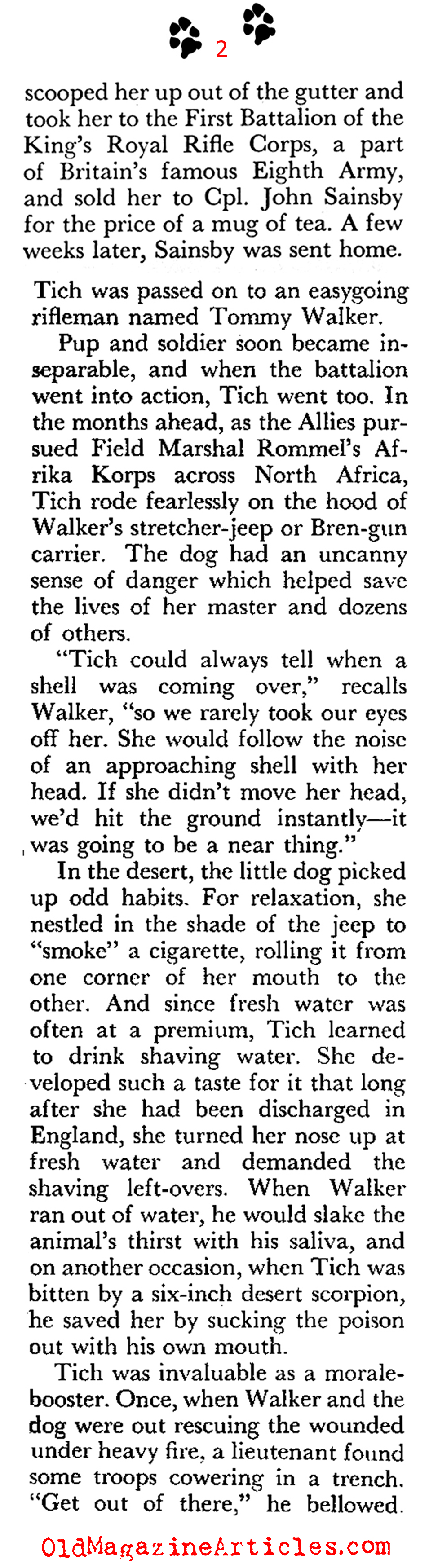 ''Tich'' of El Alamein (Coronet Magazine, 1960)