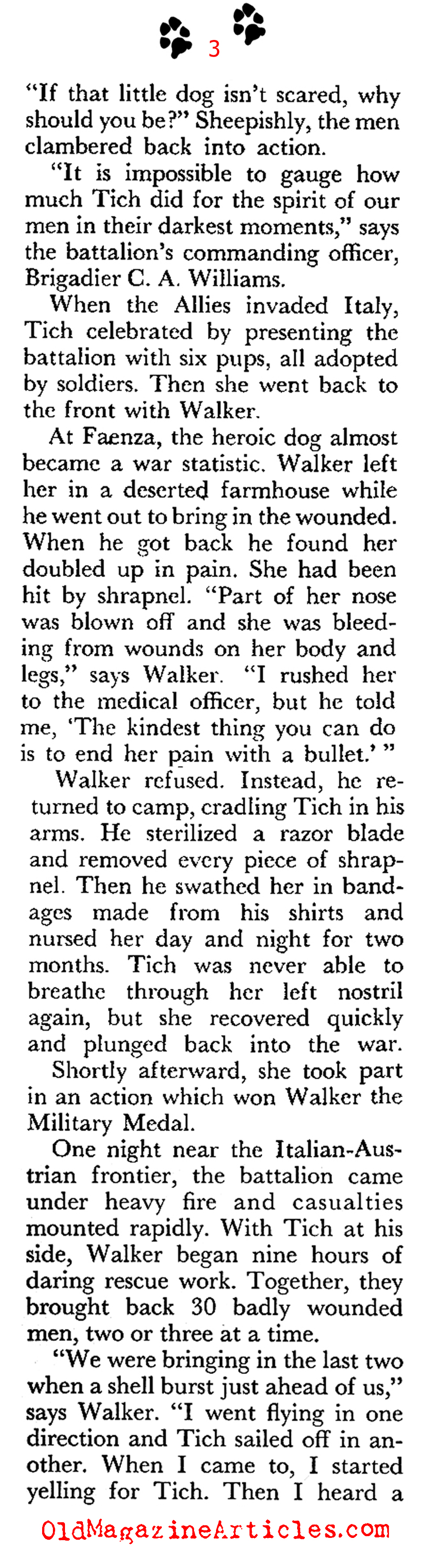''Tich'' of El Alamein (Coronet Magazine, 1960)