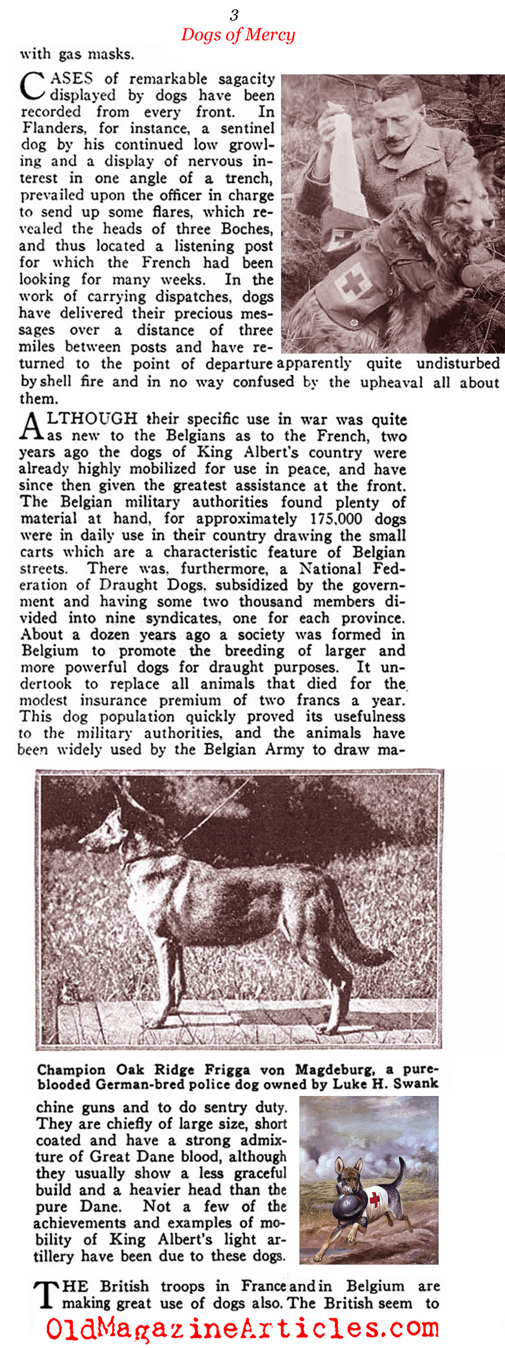 The Red Cross Dogs <BR> (Literary Digest, 1917)