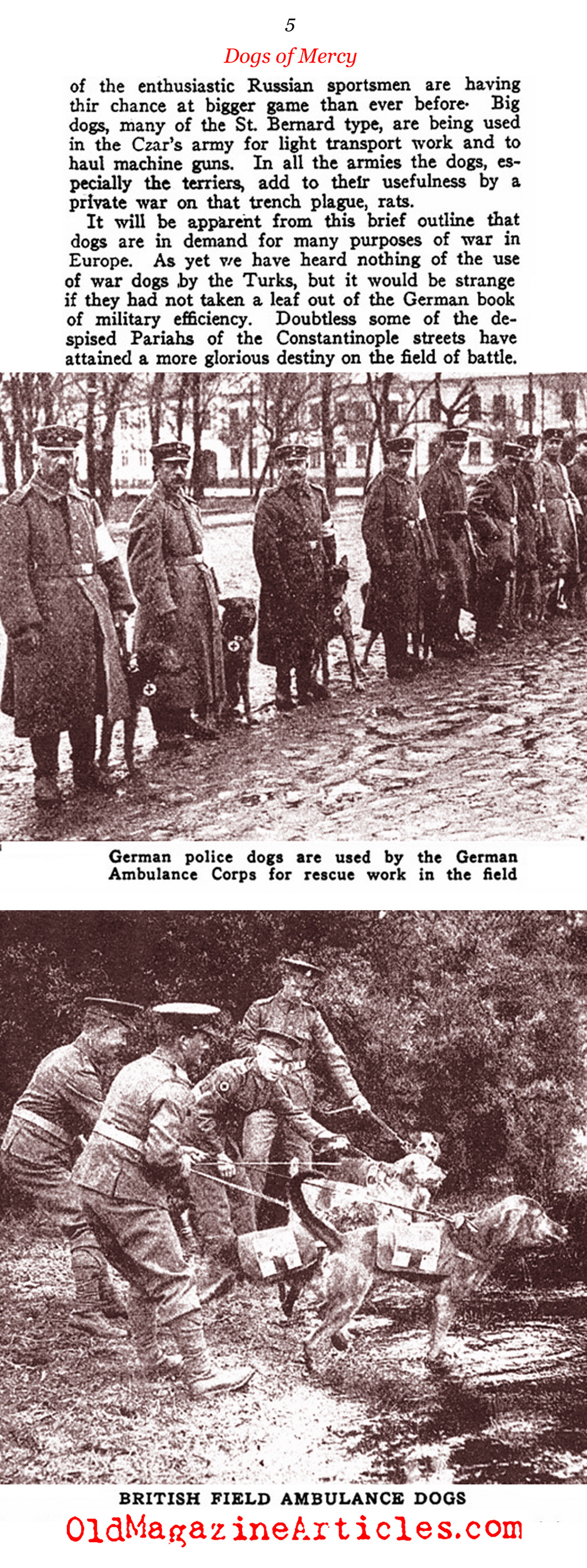 The Red Cross Dogs <BR> (Literary Digest, 1917)