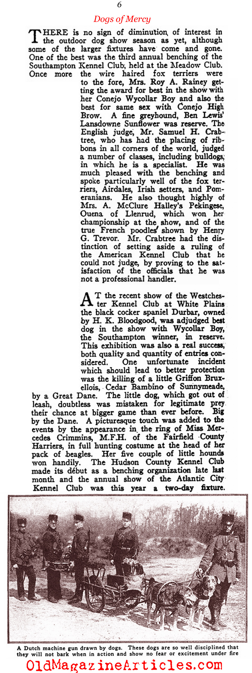 The Red Cross Dogs <BR> (Literary Digest, 1917)