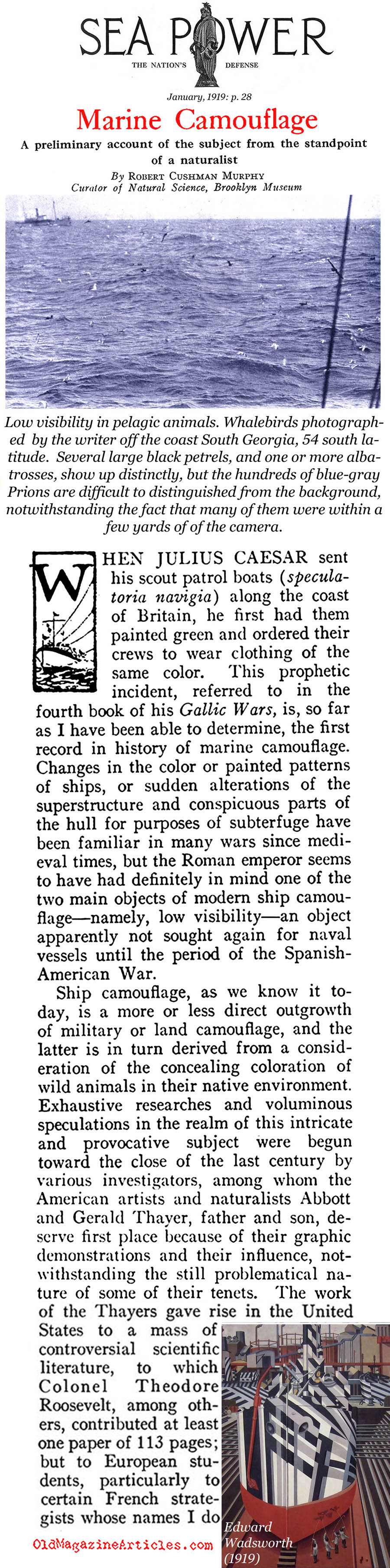 Naval Camouflage of W.W. I (Sea Power Magazine, 1919)