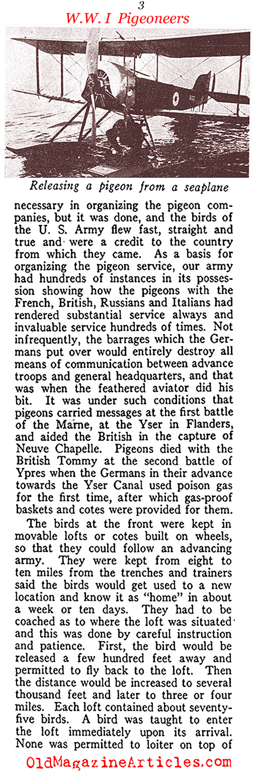 Carrier Pigeons of the US Army Signal Corps  (American Legion Weekly, 1919)