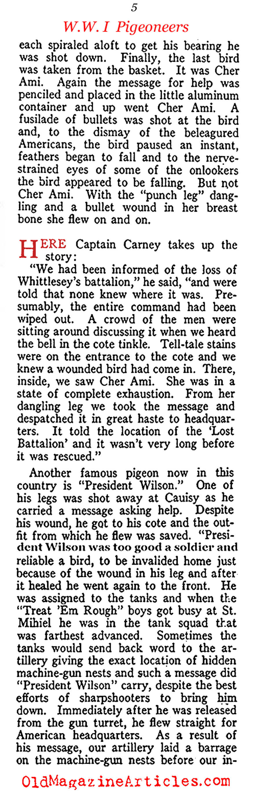 Carrier Pigeons of the US Army Signal Corps  (American Legion Weekly, 1919)