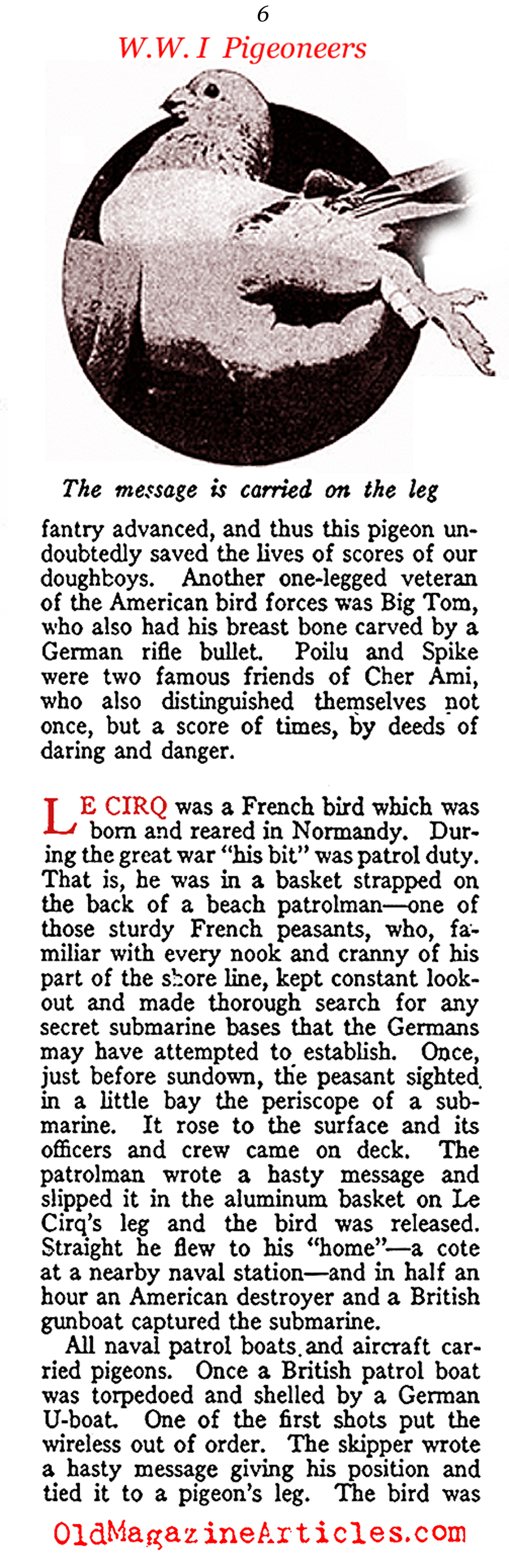 Carrier Pigeons of the US Army Signal Corps  (American Legion Weekly, 1919)