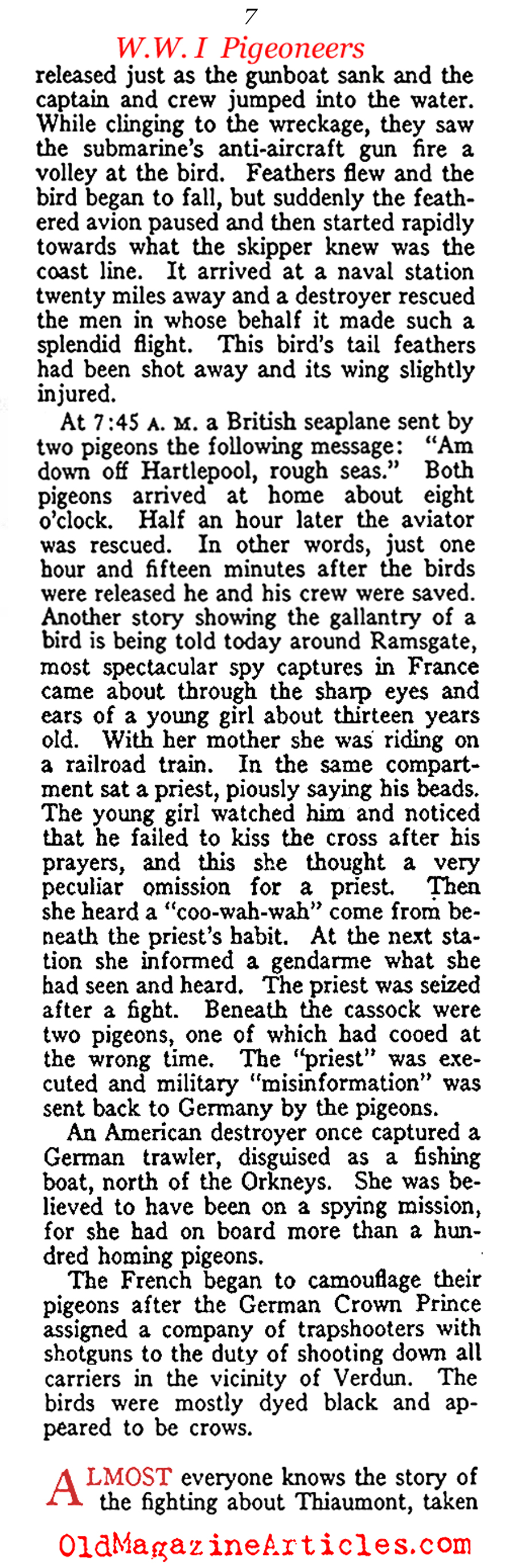 Carrier Pigeons of the US Army Signal Corps  (American Legion Weekly, 1919)