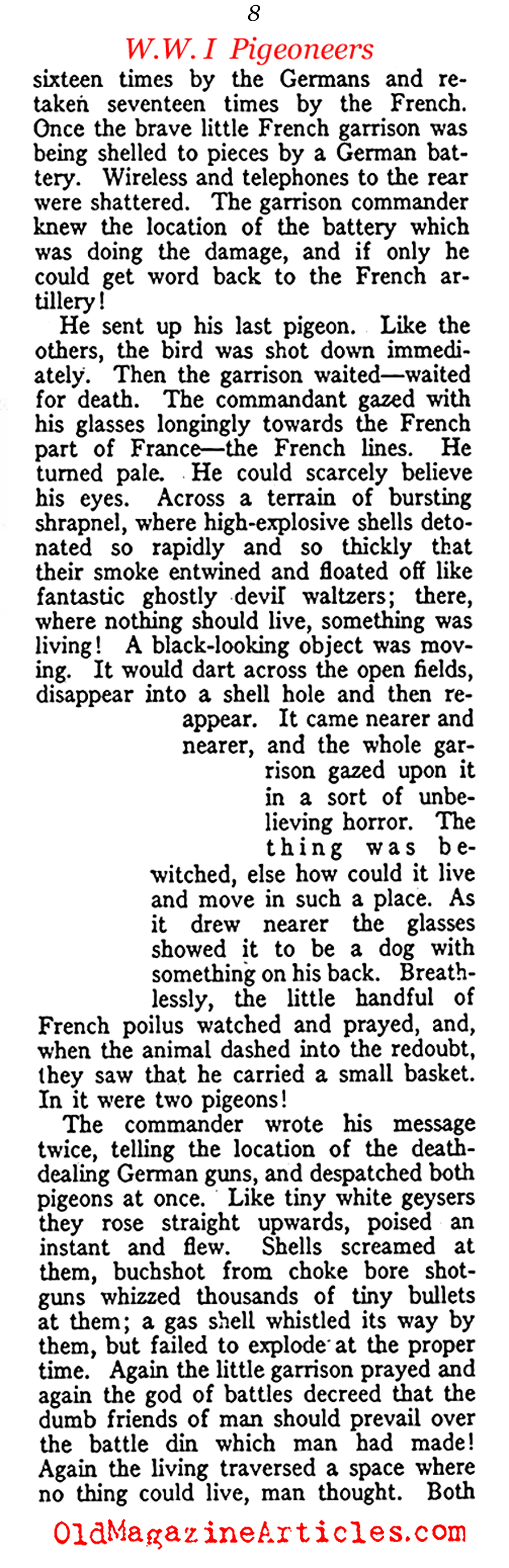 Carrier Pigeons of the US Army Signal Corps  (American Legion Weekly, 1919)