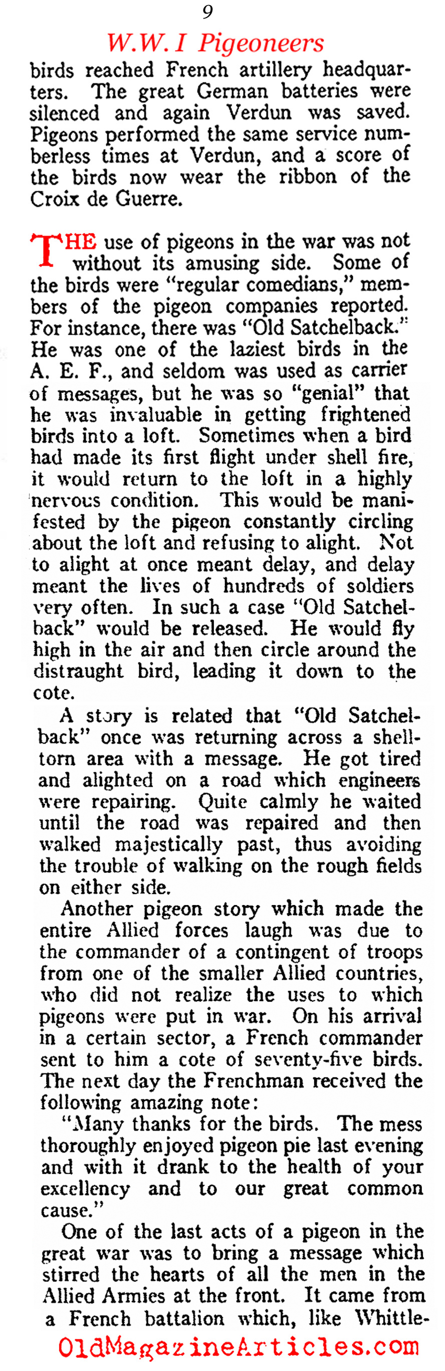 Carrier Pigeons of the US Army Signal Corps  (American Legion Weekly, 1919)