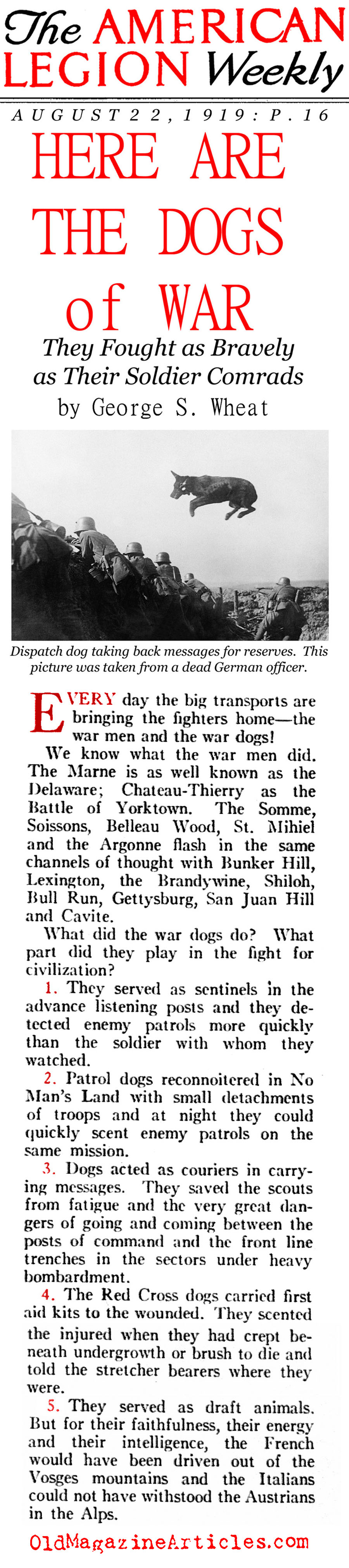 A History of Dogs in the First World War (American Legion Weekly, 1919)