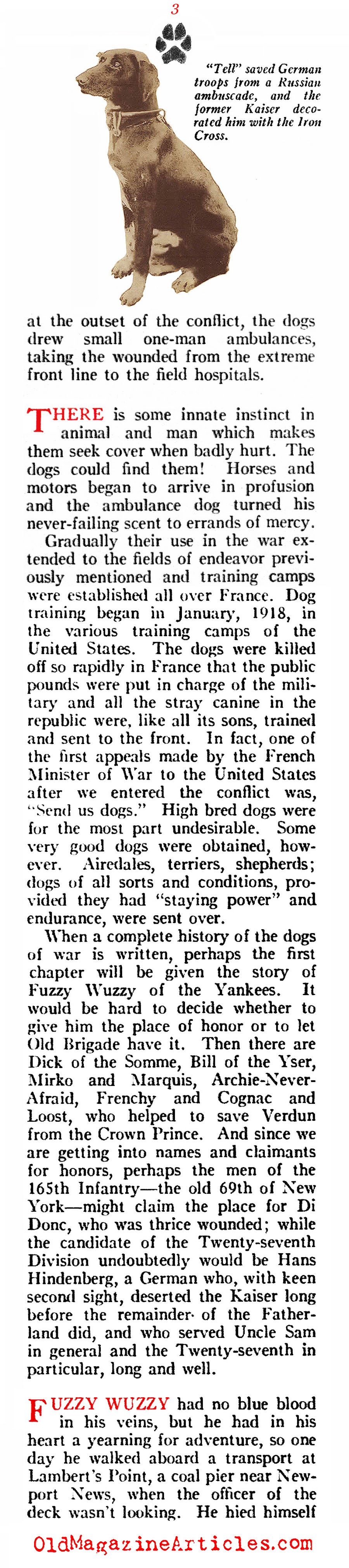 A History of Dogs in the First World War (American Legion Weekly, 1919)
