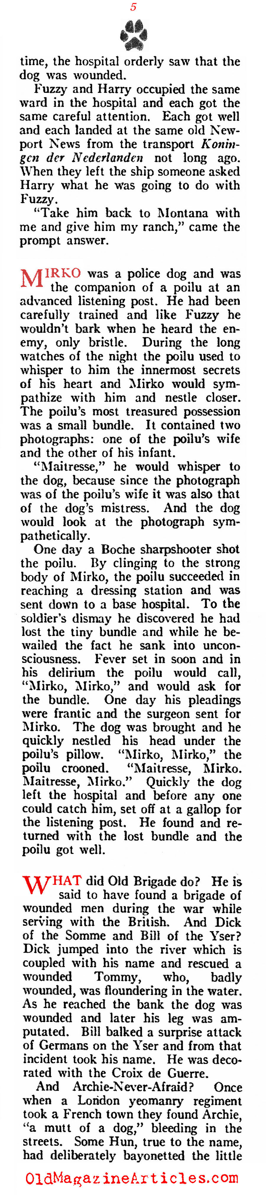 A History of Dogs in the First World War (American Legion Weekly, 1919)