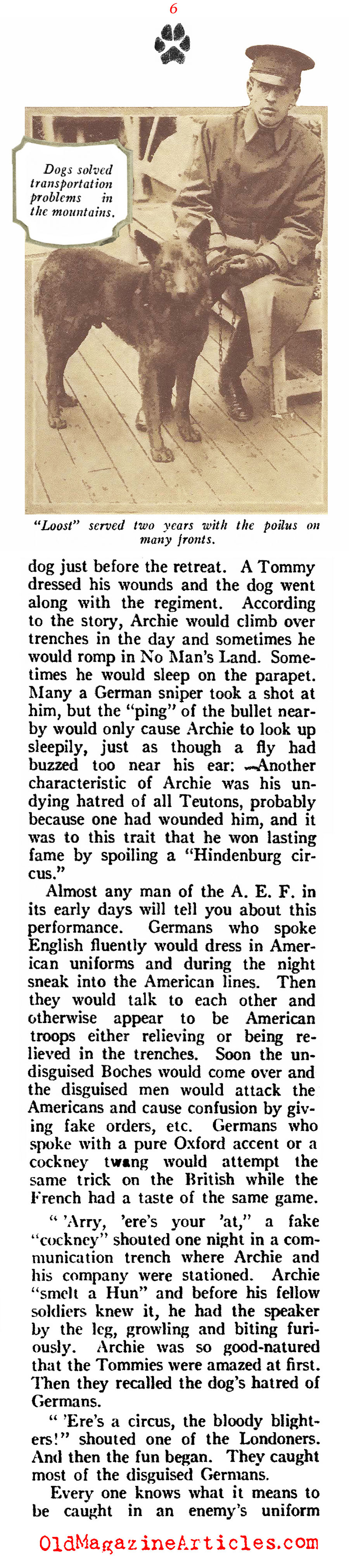 A History of Dogs in the First World War (American Legion Weekly, 1919)