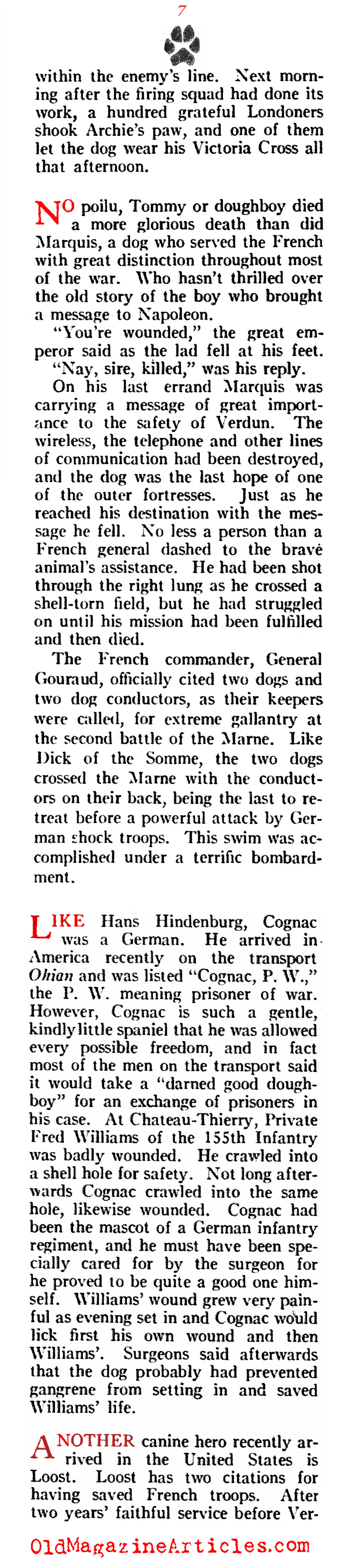 A History of Dogs in the First World War (American Legion Weekly, 1919)