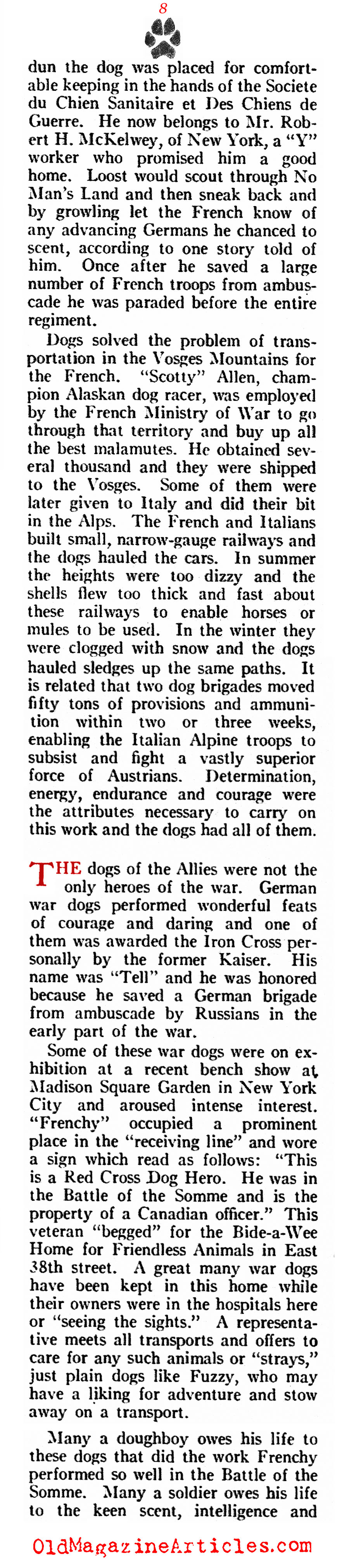 A History of Dogs in the First World War (American Legion Weekly, 1919)