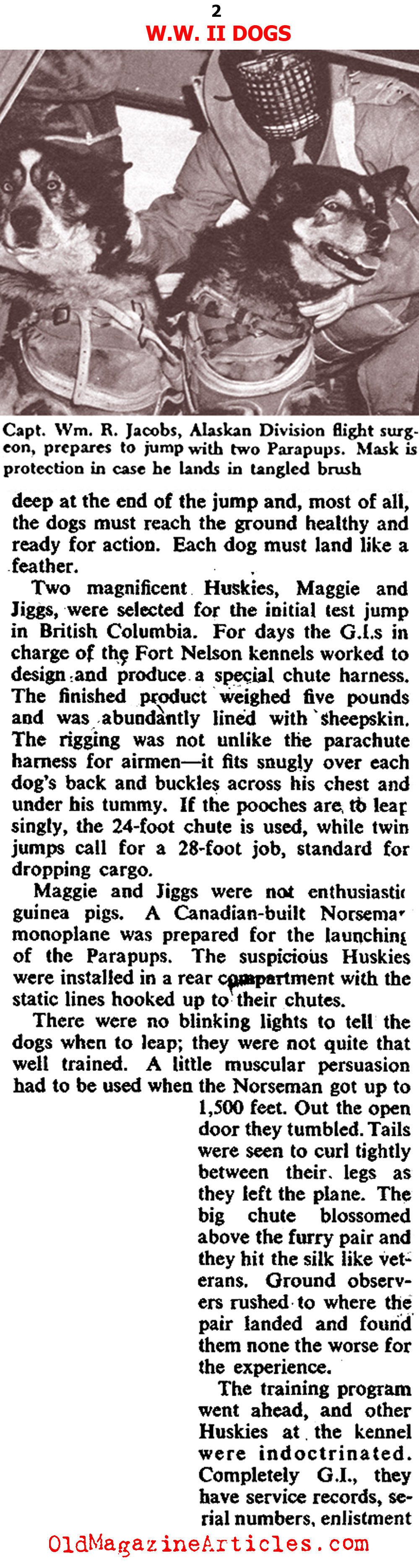 Dogs Used in the Rescue of Downed Pilots (Collier's, 1945) 